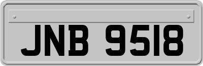 JNB9518