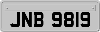 JNB9819