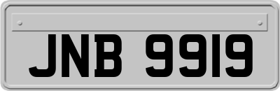JNB9919