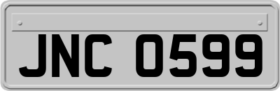 JNC0599