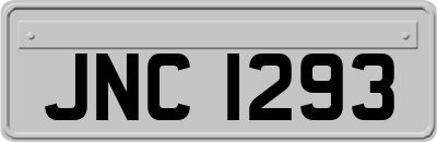 JNC1293