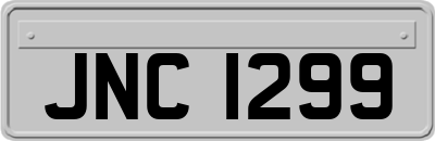 JNC1299