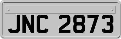 JNC2873