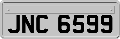 JNC6599