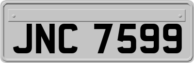 JNC7599