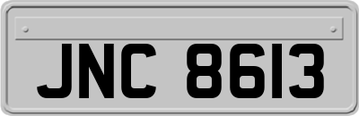 JNC8613