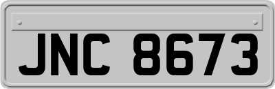 JNC8673