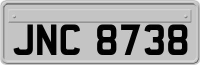 JNC8738