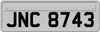 JNC8743
