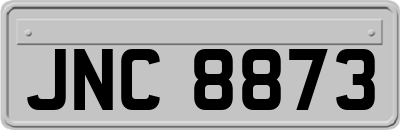 JNC8873
