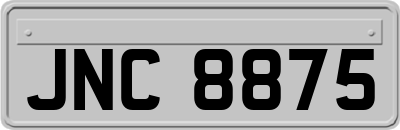 JNC8875