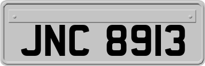 JNC8913