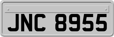 JNC8955