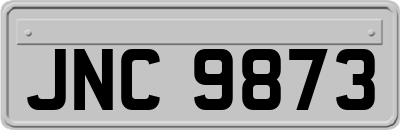 JNC9873