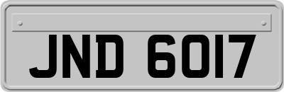 JND6017