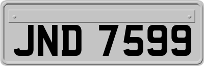 JND7599