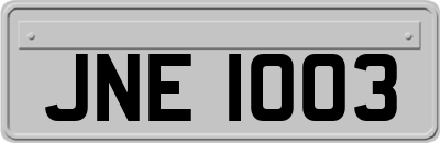 JNE1003