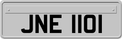JNE1101
