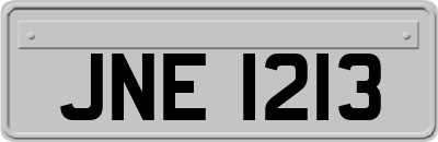 JNE1213