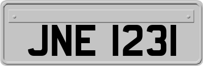 JNE1231