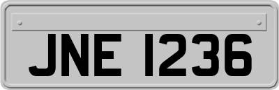 JNE1236