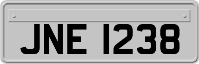 JNE1238