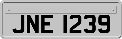 JNE1239