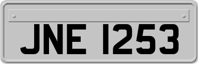 JNE1253