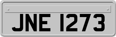 JNE1273