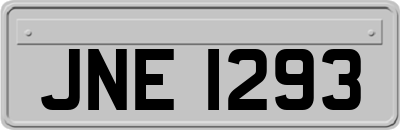 JNE1293