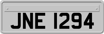 JNE1294