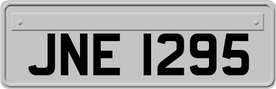JNE1295