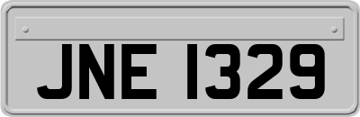 JNE1329