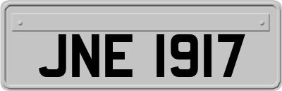 JNE1917