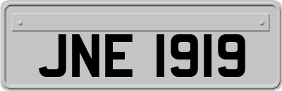 JNE1919