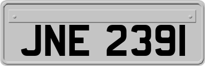 JNE2391