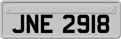 JNE2918