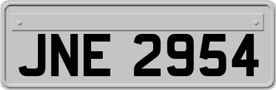 JNE2954