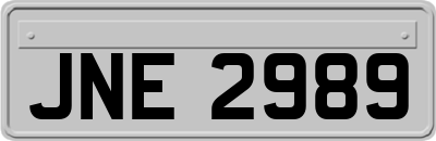 JNE2989