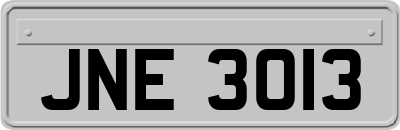 JNE3013