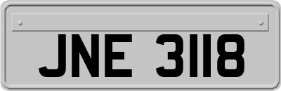 JNE3118