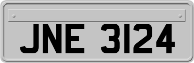 JNE3124