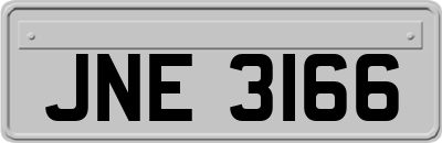 JNE3166