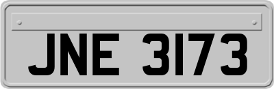 JNE3173