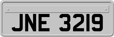 JNE3219