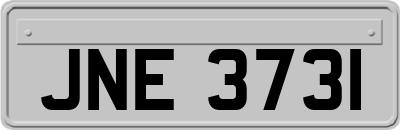 JNE3731