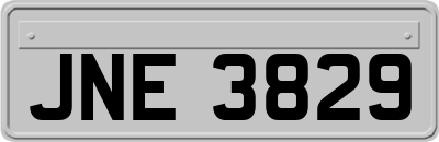 JNE3829