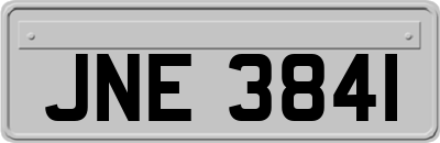 JNE3841