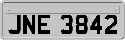 JNE3842