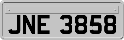 JNE3858